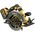 Pilarka tarczowa Dewalt DCS578X2 54 V 190 mm 7965143 5035048736340