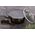 Berlinger Haus Garnek granitowy 20cm berlingerhaus bh-6604 shiny black 8251293 5999108415142