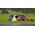 Namiot turystyczny Coleman Laramie 3 BlackOut 8519668 3138522113179
