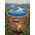 Clementoni Puzzle 1000 elementów Bibliodame (39603) 8663830 8005125396030