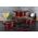 Berlinger Haus Zestaw Garnków Berlingerhaus Bh-6150 Burgundy 9010743 5999108407727