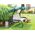 Hobbygarden 3x60 cm PODUSZKA VENUS BEŻ EKOLEN 9295218 5902414515994