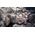 Bosch Bosch saber saw blade S1155HHM 3pcs - 2608900375 EXPERT RANGE 9356038 4059952534657