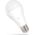 Spectrum LED LED GLS E-27 230V 15W CW SPECTRUM himp 9490708 5902650542112