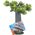 Zolux Dekoracja akw. AFRICA baobab S 9539848 3336023522197