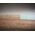 Wolfcraft wolfcraft Przymiar do układania paneli, 235 mm 9547507 4006885695207