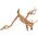 Zolux Korzeń japoński Spider Wood 40-50 cm 9598245 3336023560526