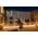 Paulmann Outdoor Plug & Shine elastyczny Neon Strip IP67 3000K 5m Paulmann 24V 9642308 4000870941911
