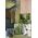 Schneider Electric GN.1-KR.Z/U PZRES. BIAŁY SEDNA DES 9806185 3606481477903