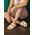 Birkenstock Birkenstock Arizona 129441 białe 45 9918367 4052001499884
