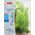 Zolux Plantkit Idro N°3 10104561 3336023521527