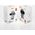 Dudao Dudao uchwyt samochodowy z wbudowaną ładowarką bezprzewodową Qi 15W szary (F20xs) 10168597 6973687243487
