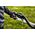 Kosiarka akumulatorowa Greenworks 60V silnik bezszczotkowy, 51 cm z napędem  (GD60LM51SP) 10316161 6952909067063