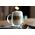 Vialli Design Komplet 2 szklanek z podwójną ścianką Amo 300 ml 8616 10355787 5901638728616