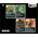 Ogry Games GRA UNMATCHED: ROBIN HOOD vs WIELKA STOPA - OGRY GAMES 11216288 5903981079728