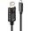 Kabel USB Lindy USB-C - DisplayPort 5 m Czarny (43305) 11260497 4002888433051