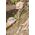 Wolfcraft Nóż z ostrzem ząbkowanym Wolfcraft 11757769 4006885408609