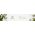 Eveline Eveline Face Therapy Professional Maska-ampułka Vitamin C 8ml 12015830 5903416047483
