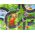 LeanToys Zestaw Auta Sportowe Resoraki Dinozaury Akcesoria Znaki Drogowe Walizka 12531501 5904665999882