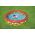 Bestway Bestway 51202 Basenik dmuchany Motylki 1.68m x 38cm 12533567 6941607325254