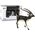 Figurka LeanToys Figurka Kolekcjonerska Antylopa Blackbuck Zwierzęta Świata 12665060 5905214971137