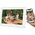 Ramka cyfrowa Sencor SDF 1092 W WIFi 12819694 8590669329601