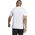 Adidas Koszulka adidas Tabela 23 JSY H44526 12924402 4066752106588