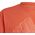 Adidas Koszulka adidas FI Logo Tee Jr HR6296 12942583 4066752414614