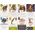 Muduko Stwory z obory: Bestiarium Pauperum MUDUKO 12992617 5904262956998