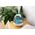 Nawilżacz powietrza Sencor SHF 2080WH 12996362 8590669308415