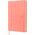 Oxford Notatnik Oxford Signature A5/80k kratka mix kolorów 13026083 3020120179889