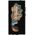Rifle Paper Rifle Paper Clear - Etui Samsung Galaxy S24 Ultra (Petite Fleurs) 13196794 840171736809