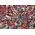 Clementoni Puzzle 1000 elementów Compact Spider-Man 13213415 8005125399161