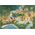 Clementoni Puzzle 1000 elementów Compact Story Maps The Hungle Book 13213426 8005125398133