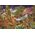 Clementoni Puzzle 1500 elementów Woodland Fantasy Garden 13213444 8005125317073