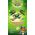 Trefl Gra Lucky Cats 13218046 5900511025156