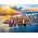 Clementoni Puzzle 500 elementów Compact New York 13244897 8005125355433