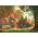 Trefl Puzzle 1000 elementów Premium Plus Domek pod strzechą 13252876 5900511108033