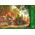 Trefl Puzzle 1000 elementów Premium Plus Domek pod strzechą 13252876 5900511108033