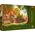Trefl Puzzle 1000 elementów Premium Plus Domek pod strzechą 13252876 5900511108033