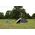 Namiot turystyczny Coleman Darwin 3 13260864 3138522127855