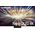 Telewizor Samsung QE75QN800D QLED 75'' 8K Ultra HD Tizen 13263866 8806095477435