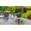 Lund GRILL WĘGLOWY OKRĄGŁY Z POKROWCEM, RUSZT 41CM (1 SZT) 13275195 5906083093258