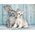 Clementoni CLE puzzle 500 Compact Cat _ Bunny 35539 13276715 8005125355396