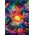 Clementoni Clementoni Puzzle 500el Colorboom Psychodeliczny wschód słońca w dżungli 35518 13276743 8005125355181