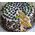 KingHoff FORMA TORTOWNICA MARMURKOWA 28cm KINGHOFF KH-1784 13294545 5908287217843