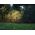 Naświetlacz Paulmann Reflektor ogrodowy KIKOLO LED 8W 20st. 500lm 3000K IP65 230V antracyt / aluminium 13295351 4000870947777