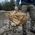Plecak turystyczny Offlander OFFLANDER TORBA PODRÓŻNA PLECAK 3W1 OFFROAD 54L KHAKI 13297172 5903733008792