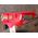 Piła łańcuchowa Einhell GC-EC 2040 PIŁA ŁAŃCUCHOWA ELEKTRYCZNA 13303494 4006825660036