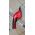 Einhell GC-CG 3,6/70 Li WT  NOŻYCE DO TRAWY I ŻYWOPŁOTU 13305029 4006825665444